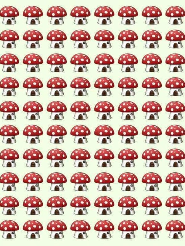 Visual Observation Skills