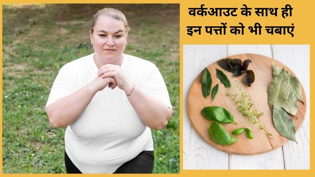 Curry leaves benefits for weight loss,Lifestyle,Curry Leaves,Curry patte,Curry Leaves Benefits And Uses ,curry leaves for weight loss,curry leaves for cholesterol