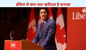 What does Canada buy from India
