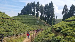 What is the tourism trend in India in 2024