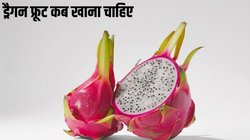 ड्रैगन फ्रूट कब खाना चाहिए? जानें सर्दियों में इसे खाने का सही तरीका और 3 गजब के फायदे
