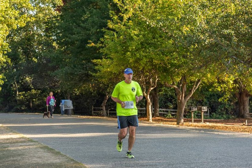Which diseases can be cured by walking daily?