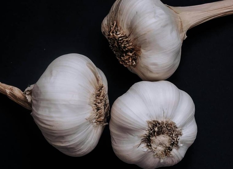  Garlic in morning