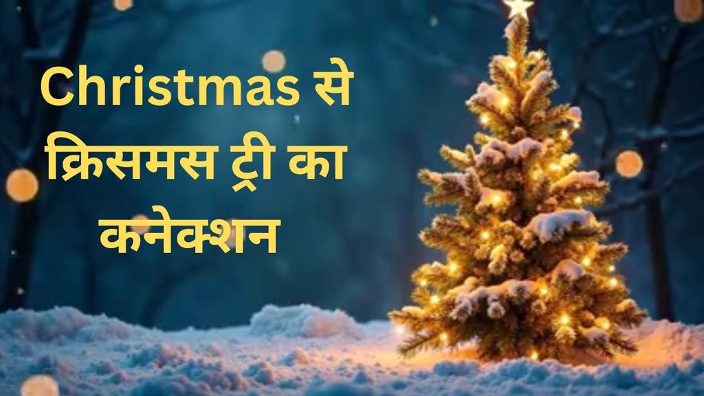 Christmas 2024 । Marry Christmas