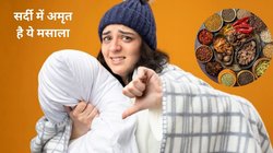 ड्राई फ्रूट से ज्यादा गर्मी है इस मसाले में, सर्दी में रोज चुटकी भर चबा लीजिए, पाचन होगा दुरुस्त और ठंड से होगा बचाव