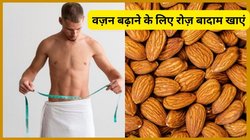 शरीर पर मांस कम और हड्डियां दिखती है ज्यादा, गोला बदन के लिए करें इस चीज का सेवन, दुबला पतला शरीर हो जाएगा सुडौल