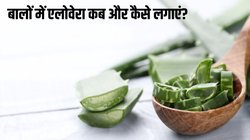 क्या एलोवेरा जेल लगाने के बाद बाल धोना जरूरी है? जानें बालों में एलोवेरा कब और कैसे लगाएं