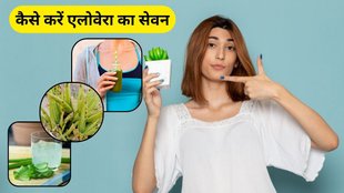 aloe vera ke fayde: एलोवेरा को खाने के फायदे