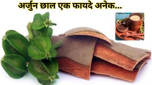 arjun ki chaal। arjun ki chaal benefits । arjun ki chaal ke fayde