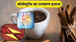 नसों में जमा Cholestrol को साफ कर देगा चुटकी भर ये मसाला, हार्ट में ब्लॉकेज का नहीं होगा खतरा, जानिए कैसे करें इस्तेमाल