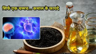 benefits of black seeds: कलौंजी और शहद के फायदे