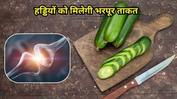 खीरे के बीज में छिपा है हड्डियों की मजबूती का राज, कब्ज की समस्या भी नहीं होगी पूरी लाइफ, जानिए इसके फायदे 