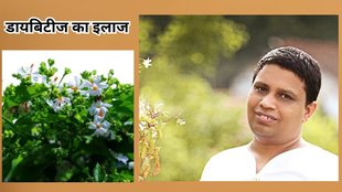 benefits of parijat leaves: शुगर के लिए परिजात के फायदे
