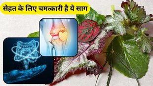 benefits of red amaranth leaves: चौलाई के साग के फायदे