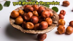 एक छोटा सा फल बड़ा असर… दिल से दिमाग तक करता है इलाज, पुरानी बीमारियों से भी मिलेगी राहत