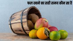 90% लोग नहीं जानते फल खाने का सही समय, एक्सपर्ट से समझें Sun Cycle के साथ इसकी साइंस
