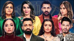 Bigg Boss 18: फिनाले से पहले कट गया ‘बिग बॉस’ से इस मजबूत कंटेस्टेंट का पत्ता, नाम सुनकर नहीं होगा यकीन