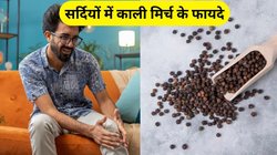 बस रोज चबा लें काली मिर्च के 3-4 दाने, छूमंतर हो जाएगा जोड़ों का दर्द, कोलेस्ट्रॉल समेत इन 5 बीमारियों से भी मिलेगी राहत
