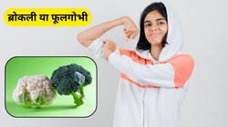 Cauliflower vs Broccoli: ब्रोकली या फूलगोभी किसमें छिपा है सेहत का खजाना, विटामिन और पोषक तत्वों में कौन बेस्ट, जानिए