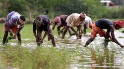 बजट 2025 में किसान सम्मान निधि कर दी जाएगी 12 हजार? जानिए सरकार के साथ कहां तक पहुंची बातचीत