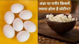 egg vs paneer: अंडा या पनीर किसमें है ज्यादा प्रोटीन?