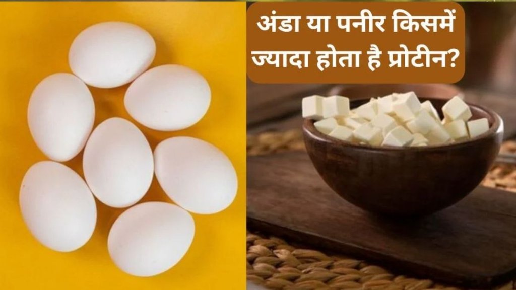 egg vs paneer: अंडा या पनीर किसमें है ज्यादा प्रोटीन?