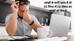 Tips To Improve Eyesight: आंखों से धुंधला दिखाई देता है और हर 6 महीने में बढ़ जाता है नंबर, इन 4 आयुर्वेदिक तरीकों से बढ़ाएं रोशनी, 6 महीनों में दिखेगा असर