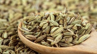 fennel seeds। Health Benefits of Fennel Seeds । Fennel Seeds Benefits