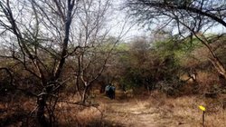 UP: स्कूल मैनेजमेंट की लापरवाही से रात में जंगल में फंसे 100 से ज्यादा बच्चे, ऐसे निकाला गया बाहर