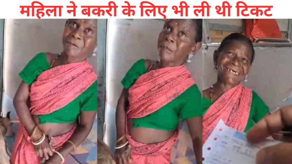 indian railway, train ticket, goat train