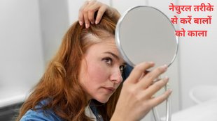 Premature Graying, Reasons,reason of gray hair,why hair getting gray in early age,What are the main causes of GREY hair,How do we stop grey hair
