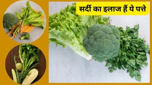 winter nutrition leafy greens, health benefits of spinach, kale nutritional value, mustard greens detox properties, fenugreek leaves health benefits
