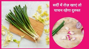 green onion benefits, green onion for immunity, health awareness, spring onions, growing spring onions, planting spring onions,