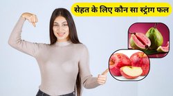 Guava vs Apple: अमरूद या सेब… कौन सा फल सबसे हेल्दी और क्यों?