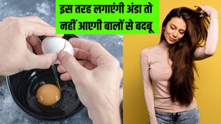 Hair Care । Egg In Hair । How to remove egg smell in hair