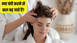 क्या रोज चंपी करने से बाल बढ़ सकते हैं? एक्सपर्ट से जान लें Hair Growth से जुड़ा सबसे फायदेमंद सीक्रेट