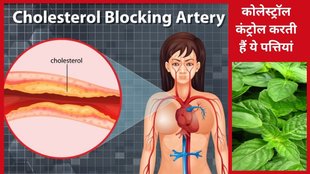 habits that increase cholesterol,cholesterol increase in 24 hours,high cholesterol prevention,cholesterol management tips,avoid high cholesterol habits,cholesterol control,
