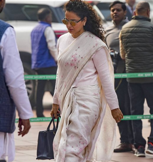 Other Women Bag in Parliament