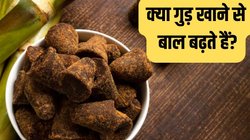 क्या गुड़ खाने से बाल बढ़ने में मदद मिलती है? जानें सर्दियों का ये सुपरफूड बालों के लिए कैसे है फायदेमंद