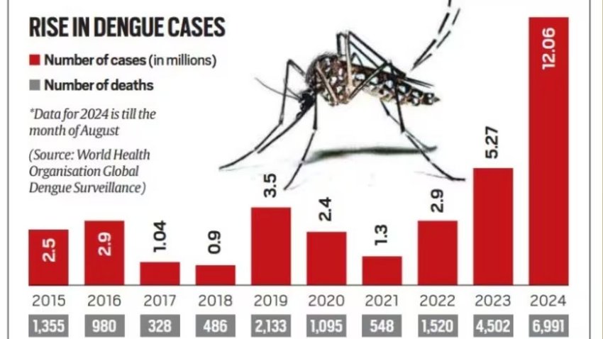 dengue cases in 2024