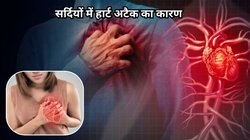 Heart Attack In Winter: सर्दियों में युवाओं को हार्ट अटैक का ज्यादा खतरा क्यों? एक्सपर्ट से जानिए सावधानियां