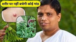 शरीर में है गांठ? ये हरी सब्जियां साबित होंगी फायदेमंद, आचार्य बालकृष्ण ने बताया कैसे करें उपयोग