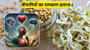 benefits of sprouted fenugreek: अंकुरित मेथी के फायदे (Freepik)