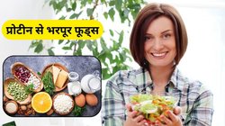 शाकाहारियों के लिए प्रोटीन से भरे 5 फूड्स, मांसपेशियां ही नहीं… शरीर भी बन जाएगा तंदुरुस्त