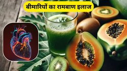 इस फल के पत्तों में छिपा है पुरानी से पुरानी बीमारियों का इलाज, दिल की समस्या भी हो जाएगी ठीक, एक्सपर्ट से जानिए इसके फायदे