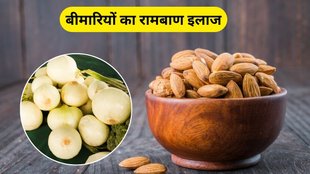 benefits of badam with white onion: बादाम और सफेद प्याज के फायदे