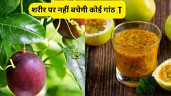 Passion Fruit: डायबिटीज के लिए काल है ये फल, शरीर को मिलेंगे कमाल के 3 फायदे, जानिए कैसे