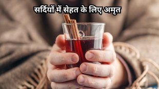 Arjun ki Chaal and Dalchini ke Fayde: दालचीनी और अर्जुन की छाल के फायदे