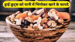 सूखे मेवों को रात भर पानी में भिगोकर खाना कितना फायदेमंद है, एक्सपर्ट से जानिए सही जवाब और क्या मिलेंगे लाभ?