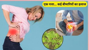 winter health tips